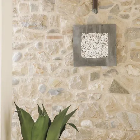 Onofria * 西尔米奥奈